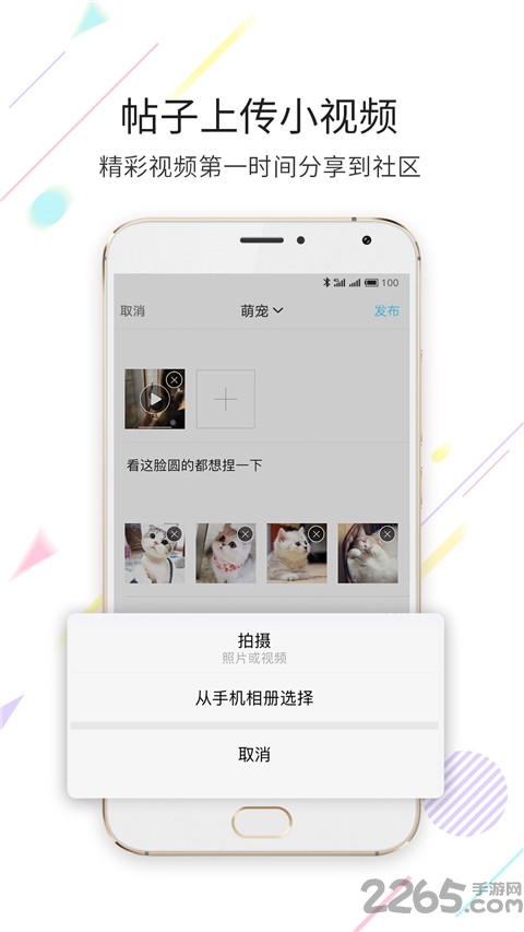 淮南查查网