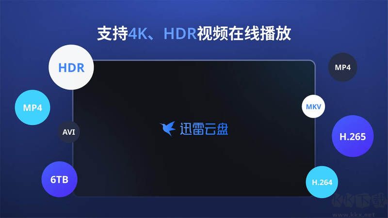 迅雷云盘TV版APP