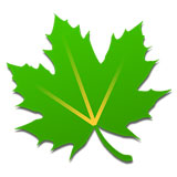 绿色守护中文版 官方版v4.8.8