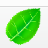 软件屋域名抢注工具 V1.0绿色版