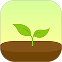 Forest专注森林安卓版v4.64.1