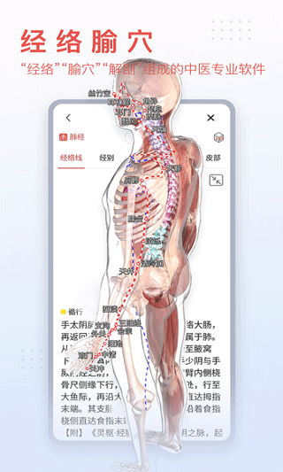 3Dbody解剖APP