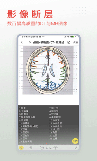 3Dbody解剖APP