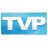 TVPaint Animation Pro 10 V10.0.16汉化破解版