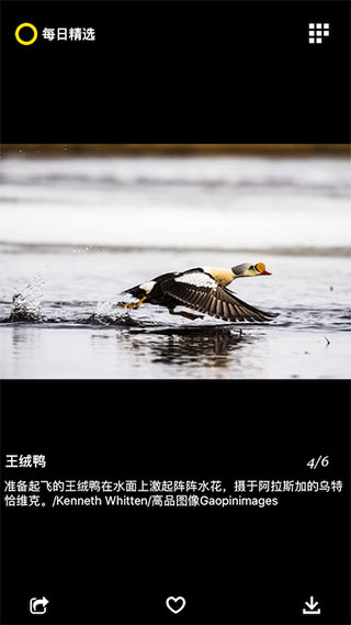 国家地理每日精选APP