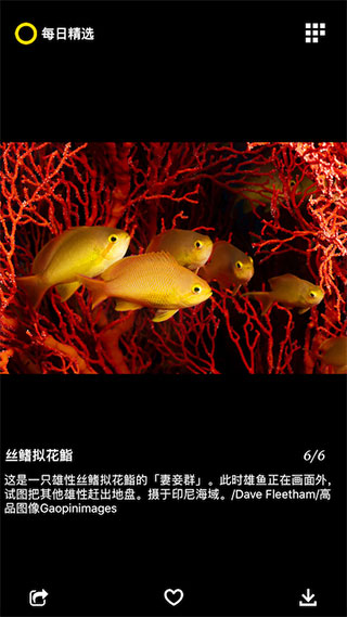国家地理每日精选APP