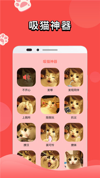 人猫交流器app