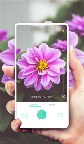 形色识花APP