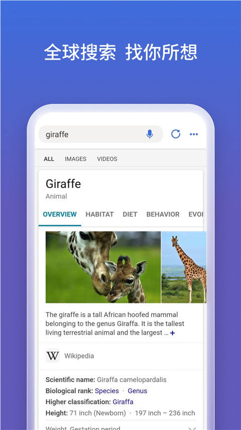 微软必应搜索APP