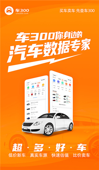车300估价二手车官方版