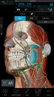 3D人体解剖2023