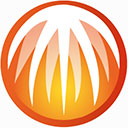 比特彗星BitComet安卓手机版v2.0最新版