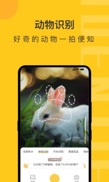 随手拍照识物APP