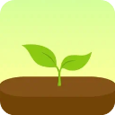 Forest专注森林专业版v4.65.8安卓版