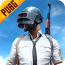 pubg国际服体验服 安卓版V2.5.4