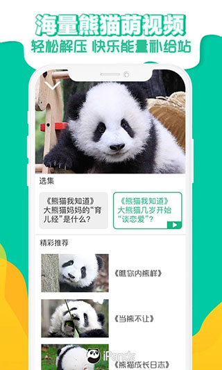 ipanda熊猫频道APP(24小时直播大熊猫生活)