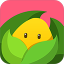 美柚孕期APP安卓版V6.0.5