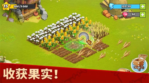 家庭岛(Family Island)