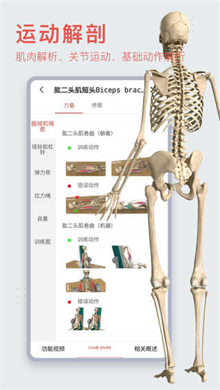 3Dbody解剖APP