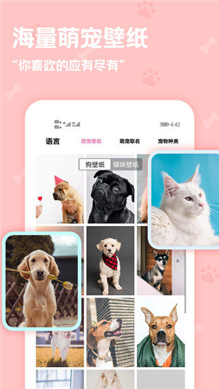 动物语言翻译器APP