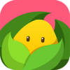 美柚孕期最新免费版安卓版V6.0.5