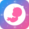 妈妈网孕育APP安卓版V13.2.1