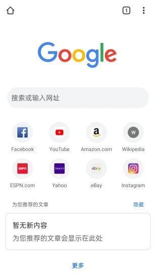 谷歌浏览器GoogleChrome