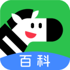 斑马百科app手机版 v1.5.0
