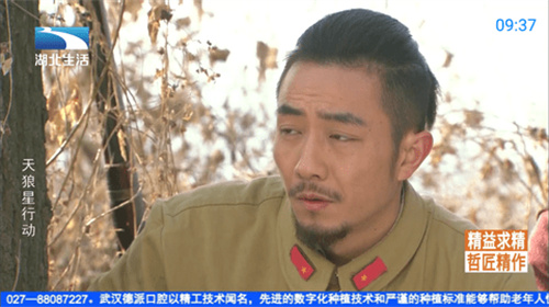 神鸟电视纯净版