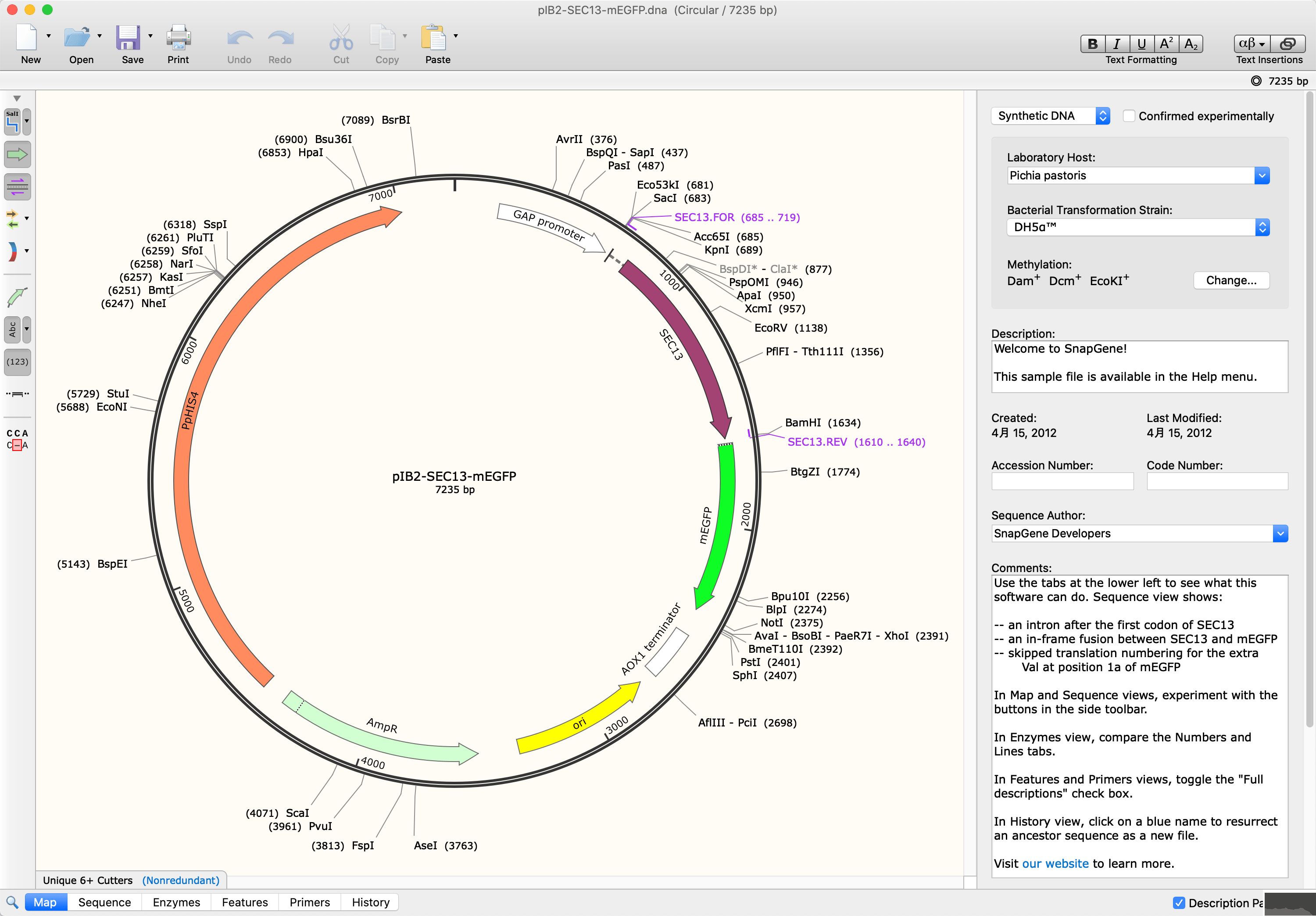 SnapGene 4.24-生物分析