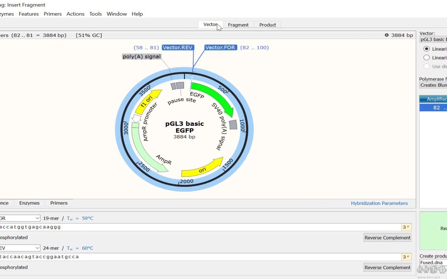 SnapGene 4.24-生物分析