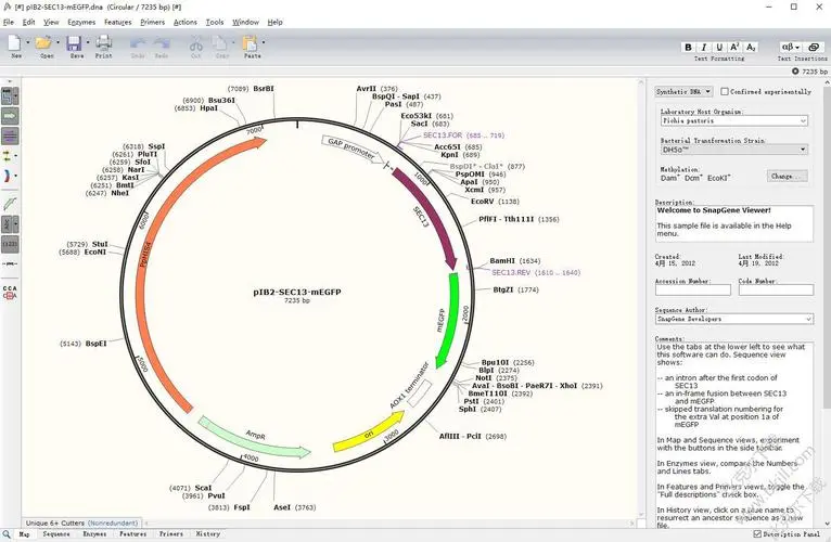 SnapGene 4.19-生物分析