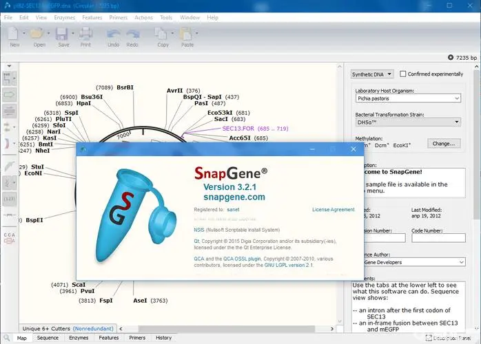 SnapGene 4.19-生物分析