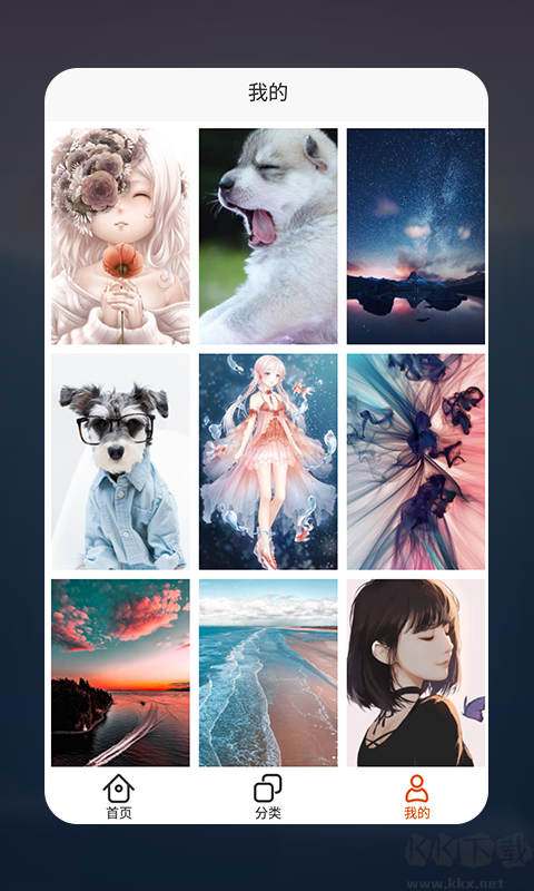 哈喽壁纸APP免费版