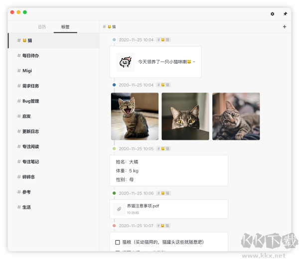 FocusNote专注笔记中文绿色免安装特别版
