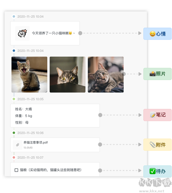 FocusNote专注笔记中文绿色免安装特别版