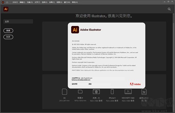 Adobe Illustrator 2021-AI 2021中文破解直装版