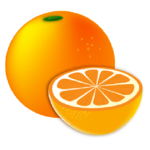 柑橘阅读APP无广告纯净版 v1.1.5