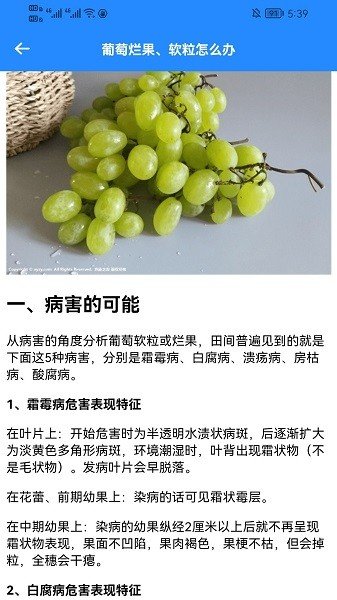 嗨老板开个店2023官方正版