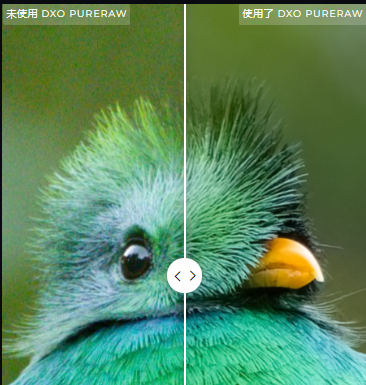 DxO PureRAW绿色便携版