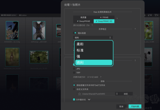 DxO PureRAW绿色便携版