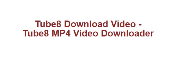 Tube8 video Downloader油管视频下载工具绿色纯净版