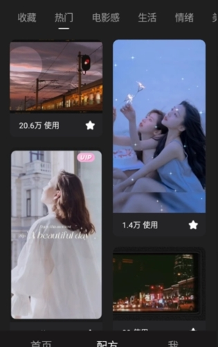 Meitu Wink高级专业版