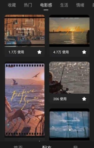 Meitu Wink高级专业版