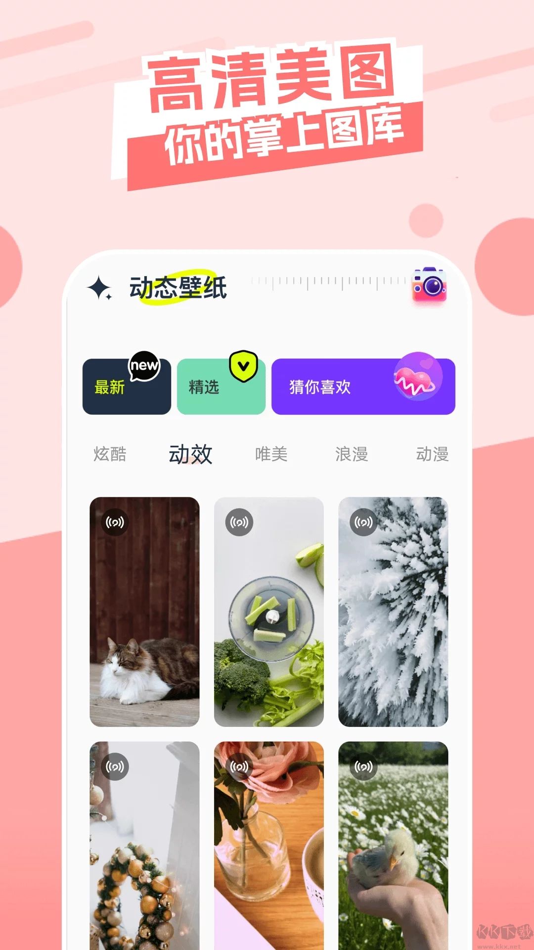 主题库(免费)app修改破解版2023最新