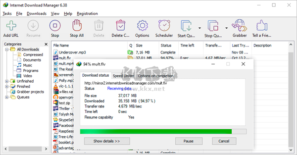 Internet Download Manager破解版