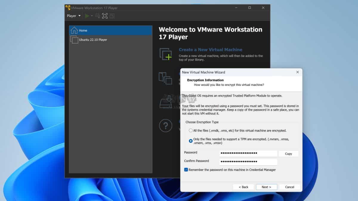 VMware Workstation Pro17虚拟机