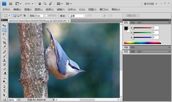 Photoshop cs4绿色版