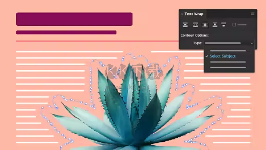 Adobe InDesign 2024破解版