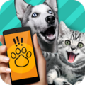 狗语翻译器免费版v9.3.3
